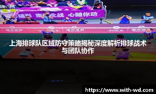 上海排球队区域防守策略揭秘深度解析排球战术与团队协作